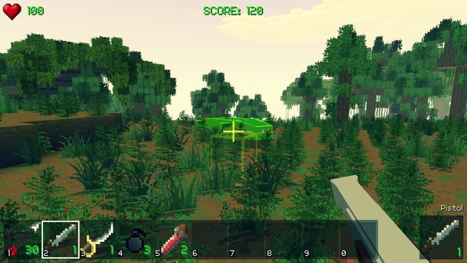 Piratecraft Screenshot