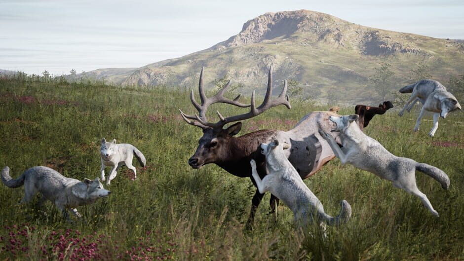 Artemishea Screenshot