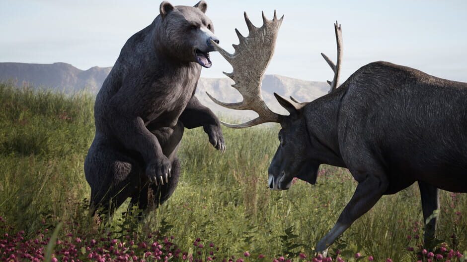 Artemishea Screenshot