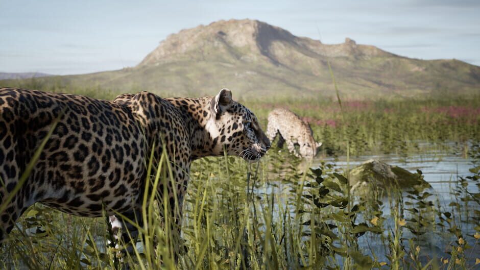 Artemishea Screenshot