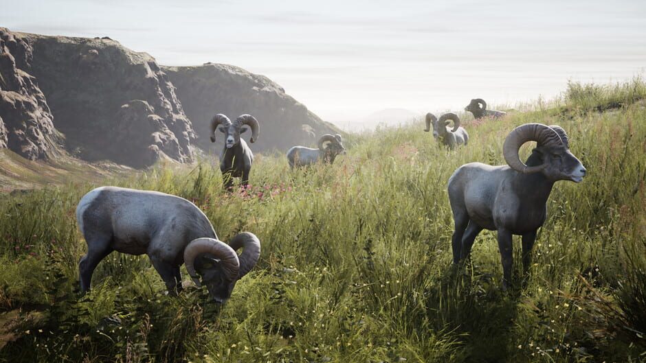 Artemishea Screenshot