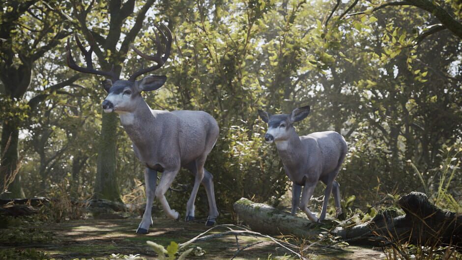 Artemishea Screenshot