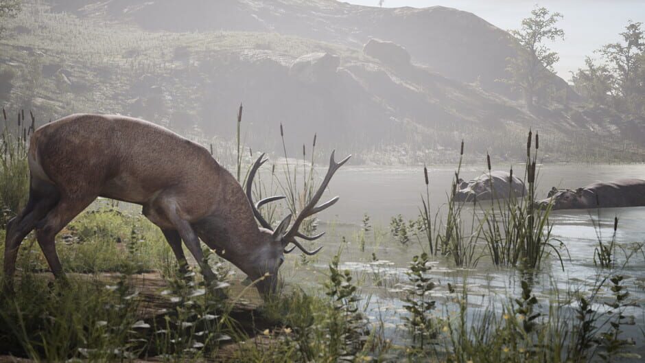 Artemishea Screenshot