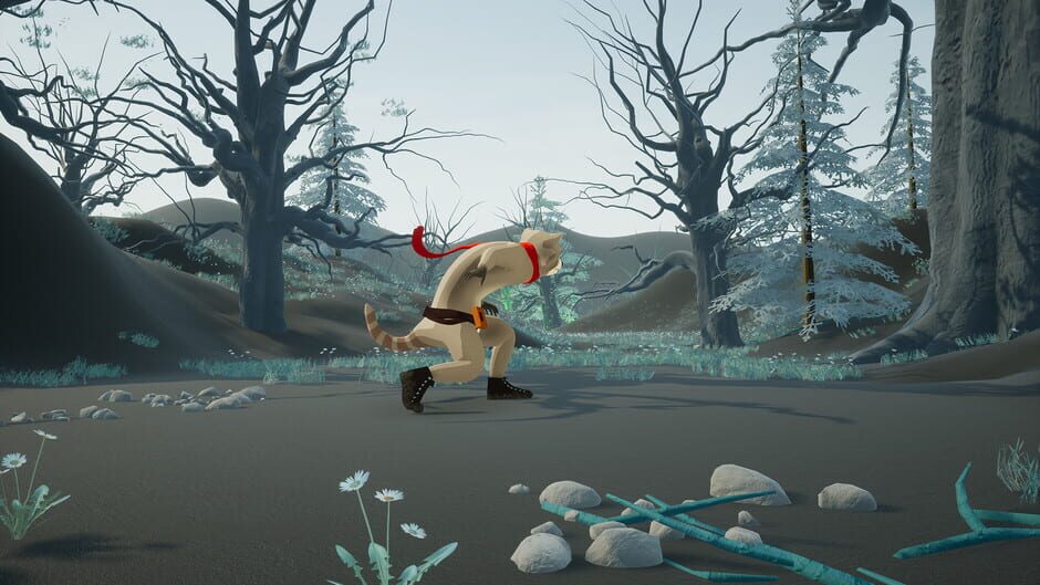 Raccoon Arrival Screenshot