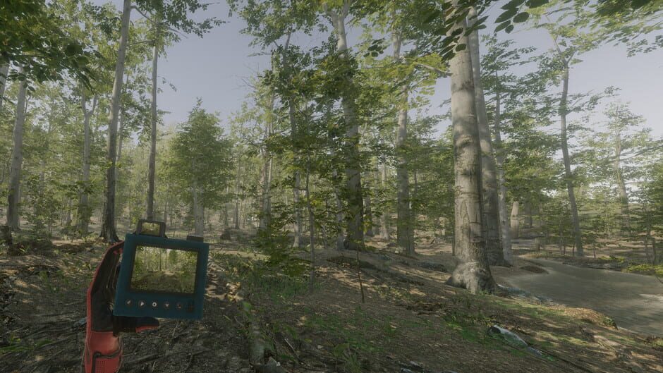 VR Walking Simulator screenshot