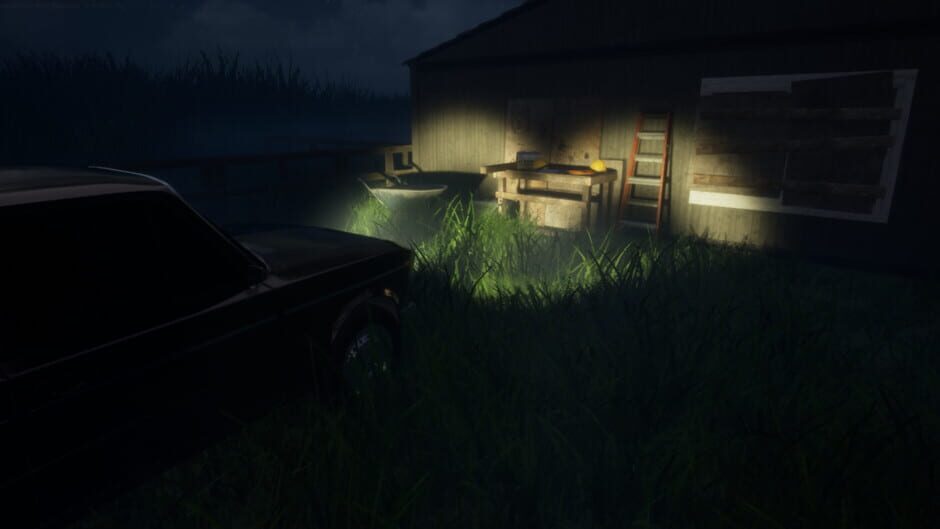 Devil Inside Us: Roots of Evil Screenshot