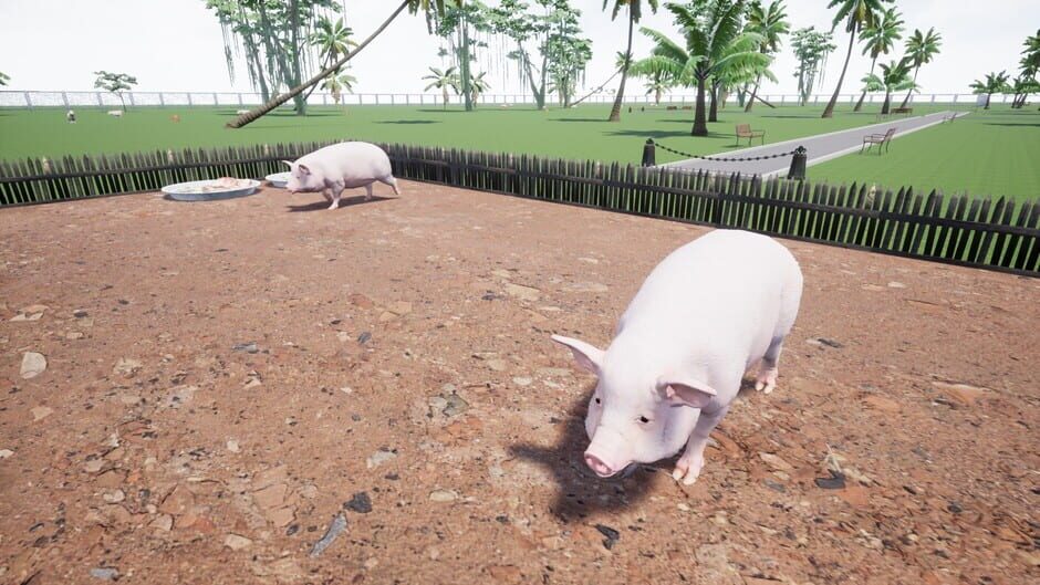 Zoo Cleaner Screenshot