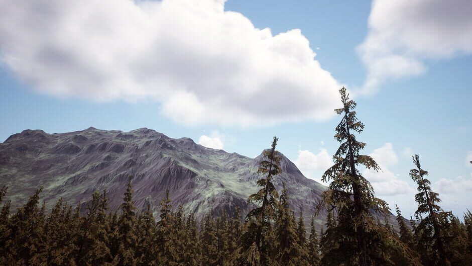 Two Coins screenshot