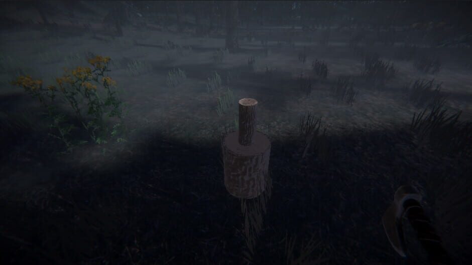 Fimbul Winter VR Screenshot