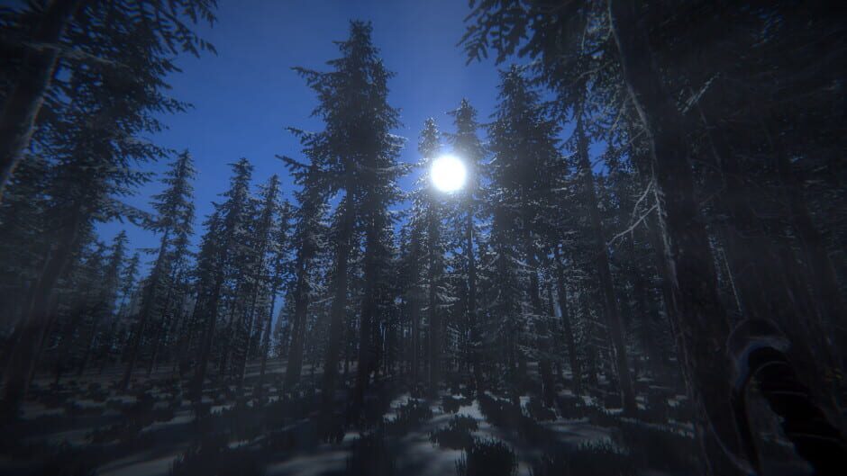 Fimbul Winter VR Screenshot