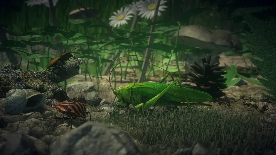 Кадър от Insect Worlds