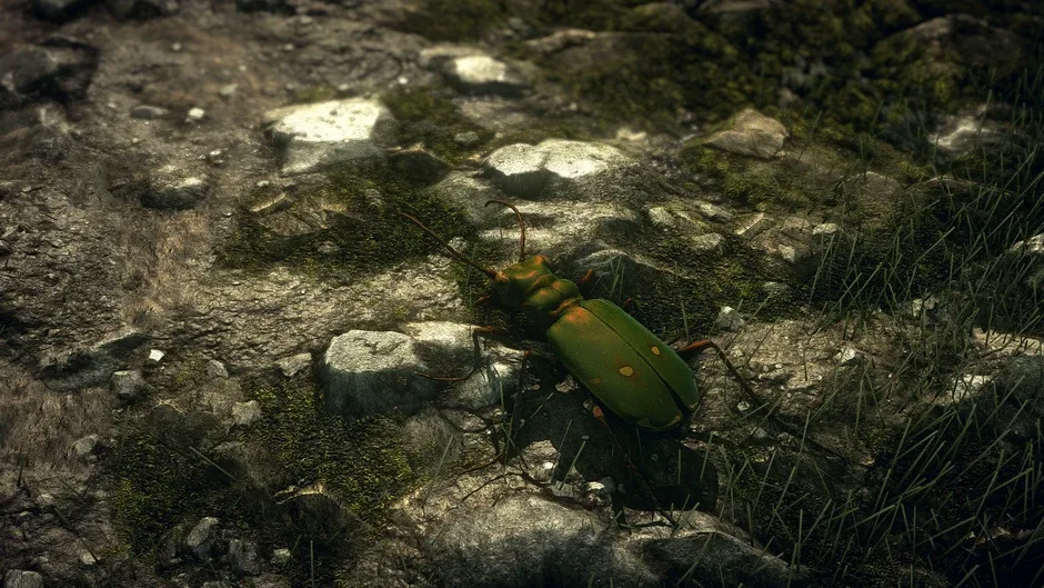 Кадър от Insect Worlds