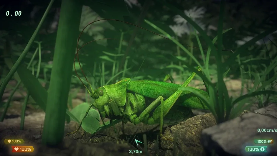 Кадър от Insect Worlds