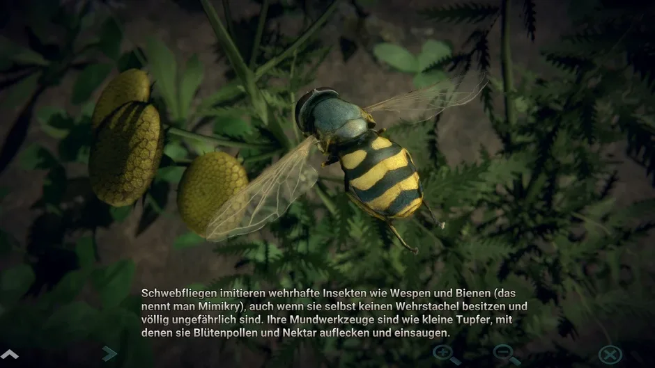 Кадър от Insect Worlds