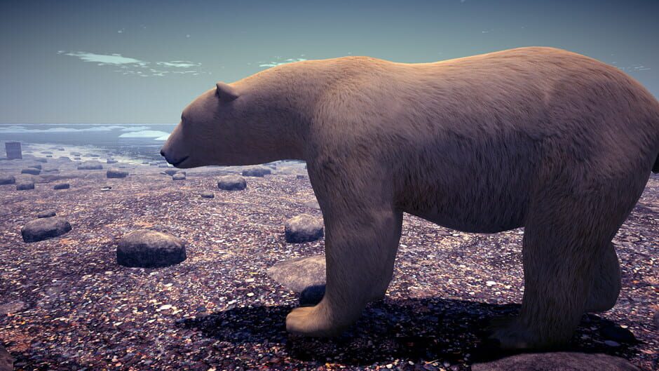 Arctic Anxiety Screenshot