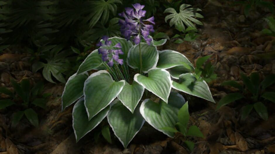 Green Hell VR screenshot 2