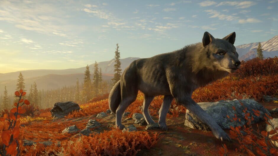 TheHunter: Call of the Wild - Yukon Valley Screenshot