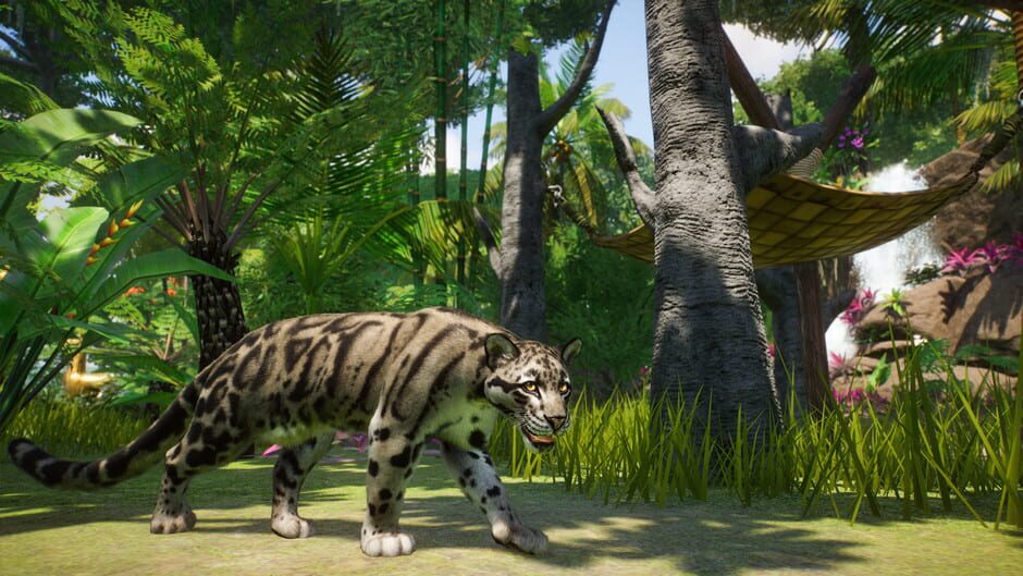 Planet Zoo: Southeast Asia Animal Pack Screenshot