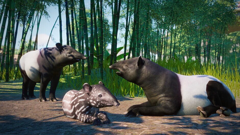 Planet Zoo: Southeast Asia Animal Pack Screenshot