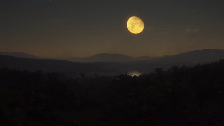 TheHunter: Call of the Wild - Parque Fernando Screenshot