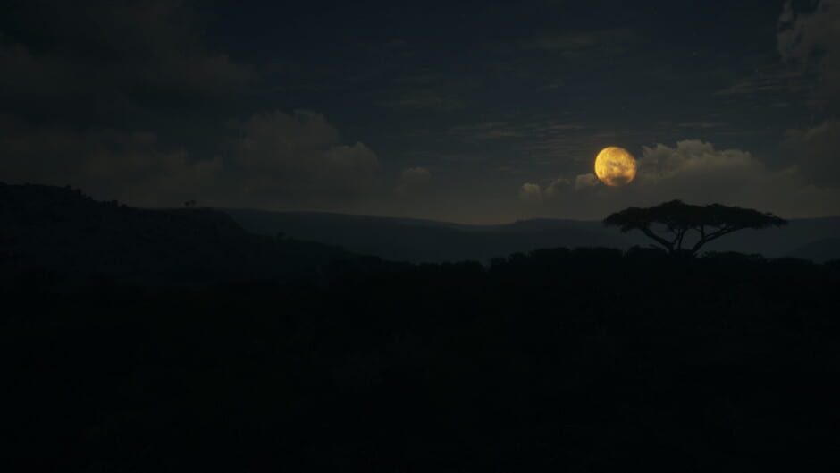 TheHunter: Call of the Wild - Vurhonga Savanna Screenshot