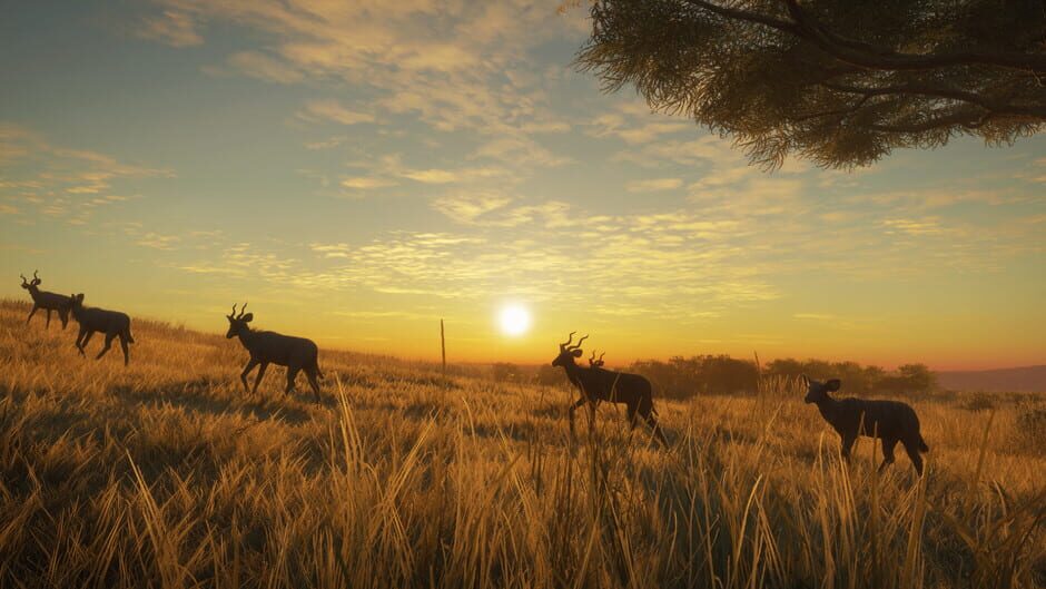 TheHunter: Call of the Wild - Vurhonga Savanna Screenshot
