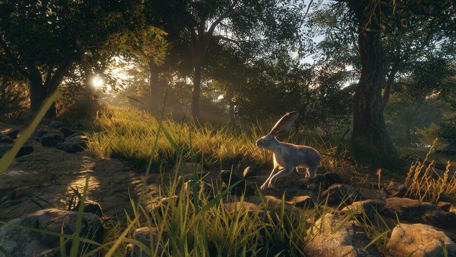 TheHunter: Call of the Wild - Rancho del Arroyo Screenshot