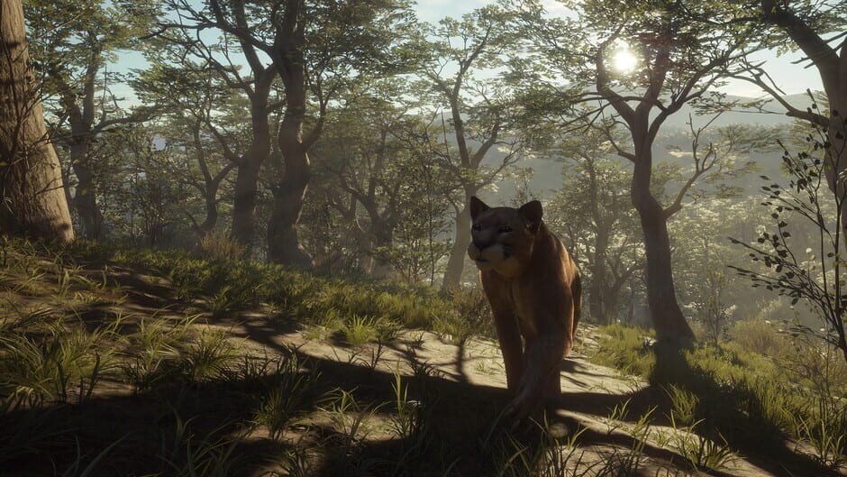 TheHunter: Call of the Wild - Parque Fernando Screenshot