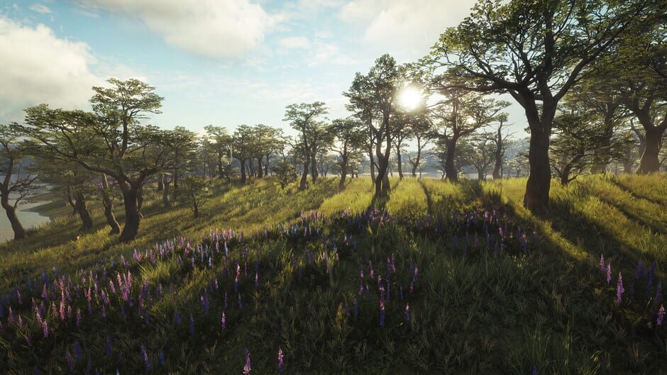 TheHunter: Call of the Wild - Parque Fernando Screenshot