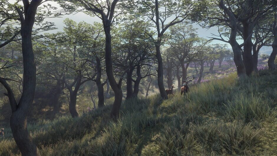 TheHunter: Call of the Wild - Parque Fernando Screenshot