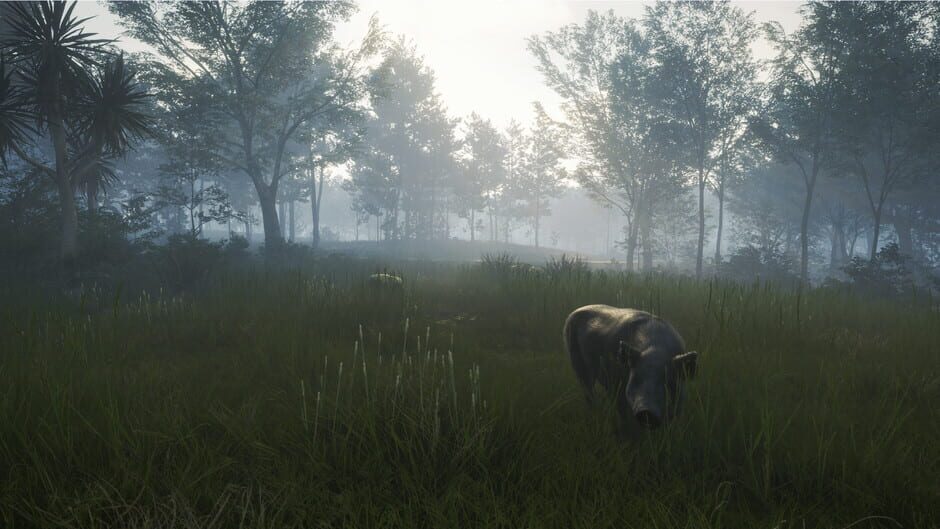 TheHunter: Call of the Wild - Te Awaroa National Park Screenshot
