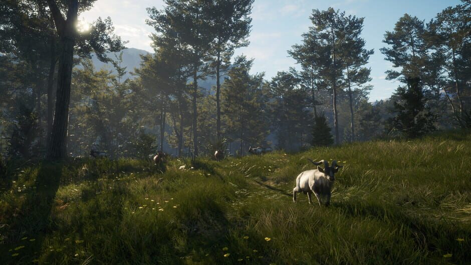 TheHunter: Call of the Wild - Te Awaroa National Park Screenshot