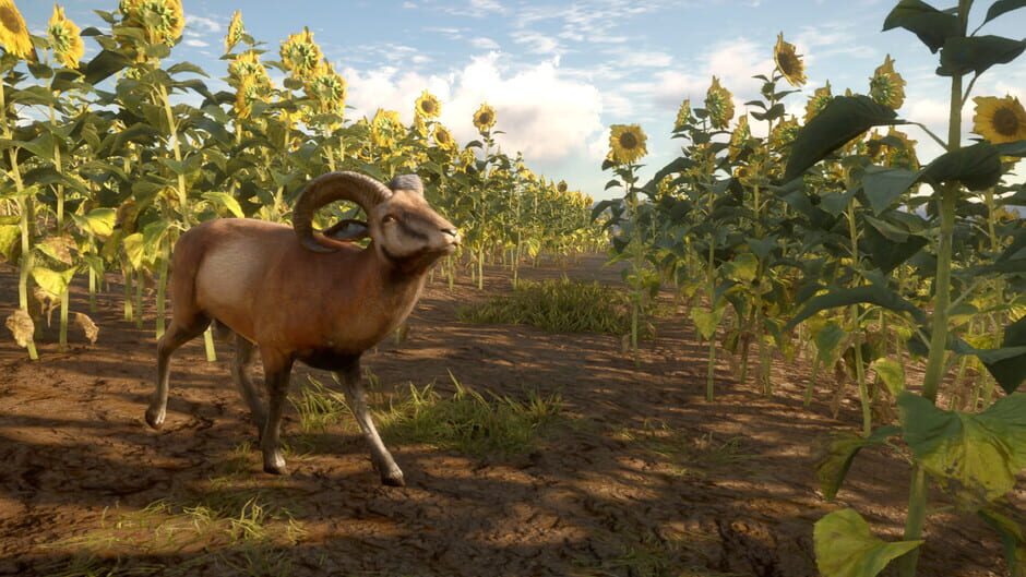 TheHunter: Call of the Wild - Cuatro Colinas Game Reserve Screenshot