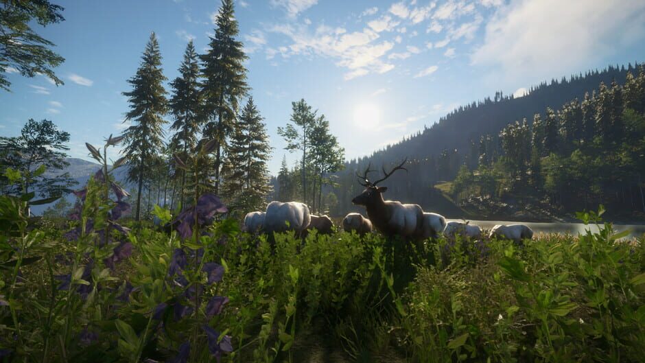 TheHunter: Call of the Wild - Silver Ridge Peaks Screenshot
