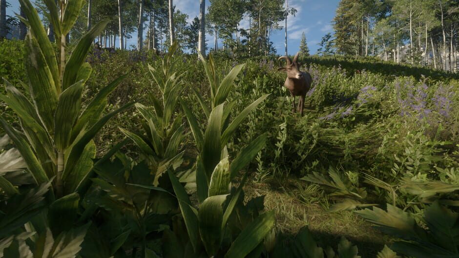 TheHunter: Call of the Wild - Silver Ridge Peaks Screenshot