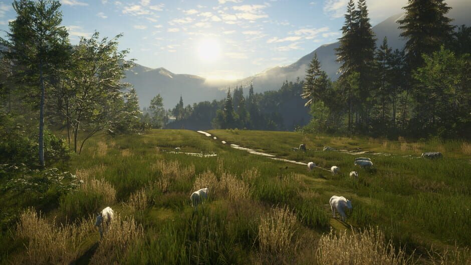 TheHunter: Call of the Wild - Silver Ridge Peaks Screenshot