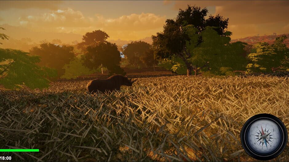 African Safari Screenshot