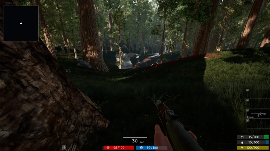 Battle Life Online