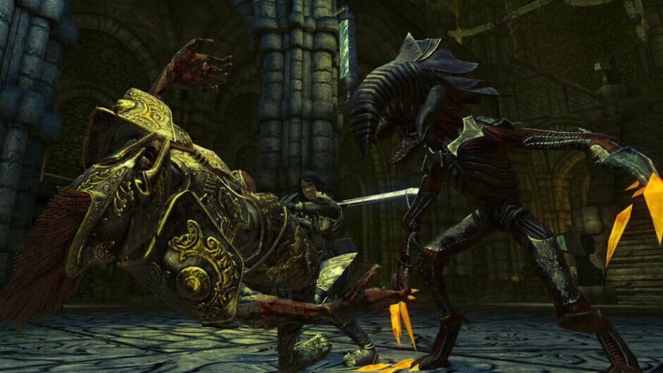 Divinity II: Developer's Cut Screenshot