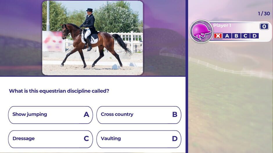 Equestrian Training Screenshot