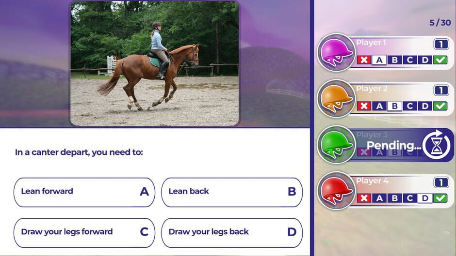 Equestrian Training Screenshot