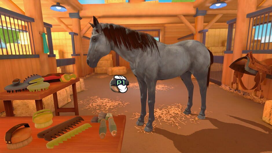 Equestrian Training Screenshot