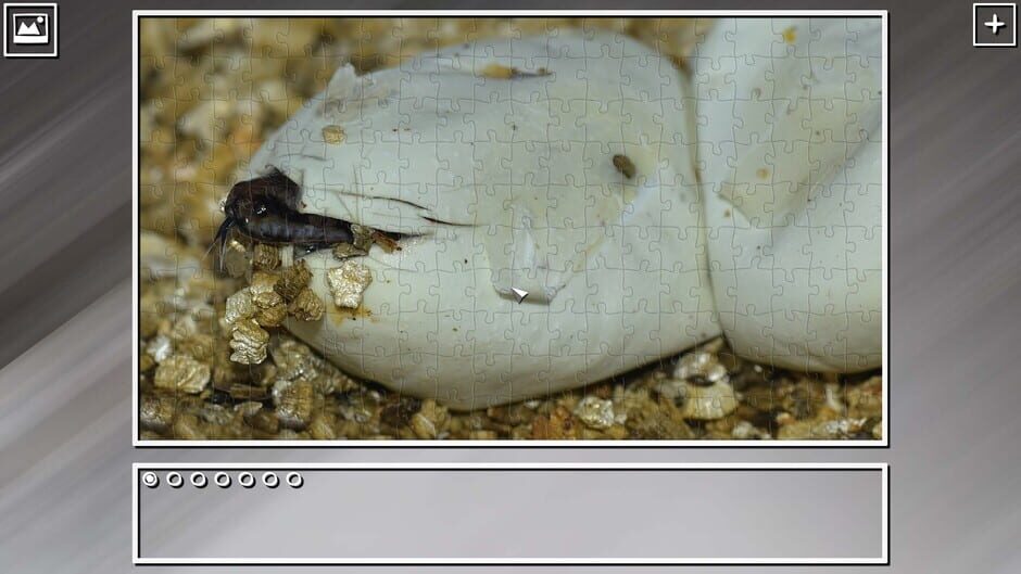 สกรีนช็อตจาก Super Jigsaw Puzzle: Generations - Snakes Puzzles (รูปที่ 3)