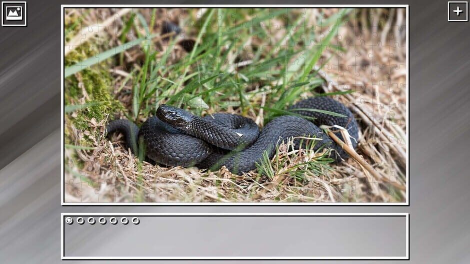 สกรีนช็อตจาก Super Jigsaw Puzzle: Generations - Snakes Puzzles (รูปที่ 7)