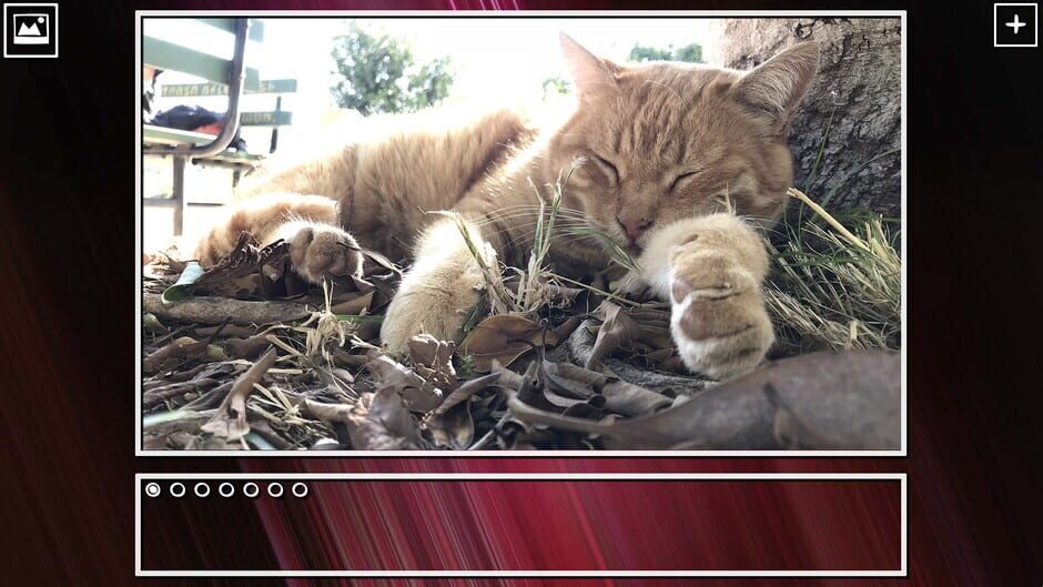 สกรีนช็อตจาก Super Jigsaw Puzzle: Generations - Cats Puzzles (รูปที่ 12)