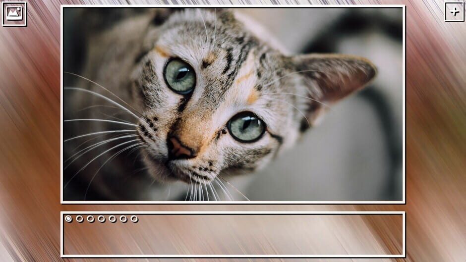 สกรีนช็อตจาก Super Jigsaw Puzzle: Generations - Cats Puzzles (รูปที่ 16)