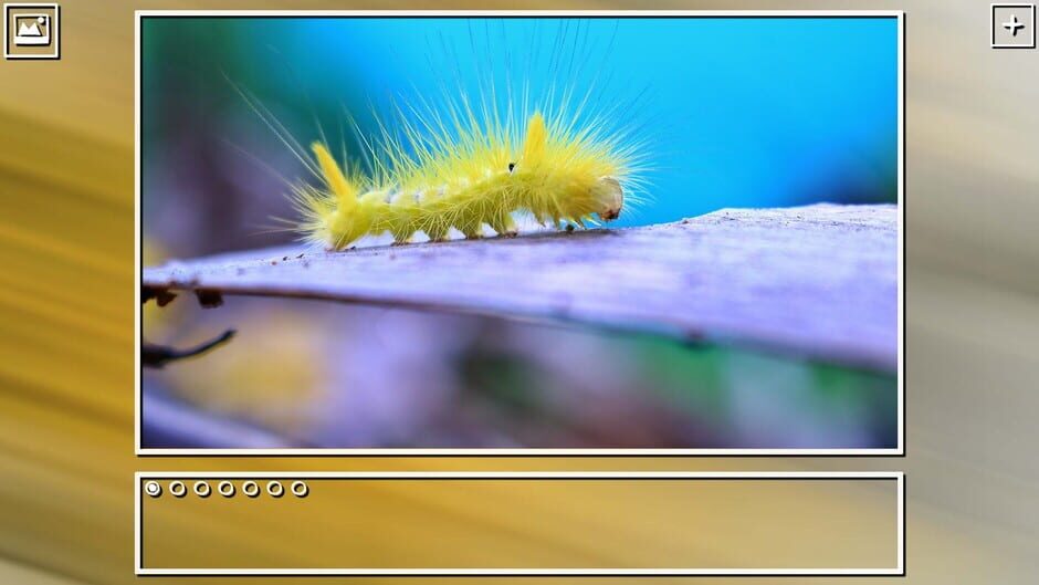 สกรีนช็อตจาก Super Jigsaw Puzzle: Generations - Bugs Puzzles (รูปที่ 5)