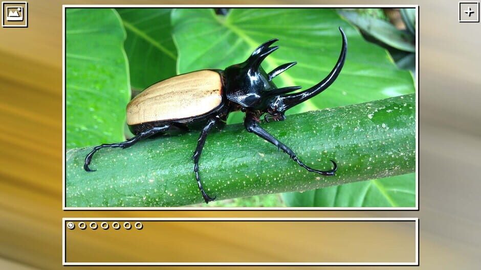 สกรีนช็อตจาก Super Jigsaw Puzzle: Generations - Bugs Puzzles (รูปที่ 6)