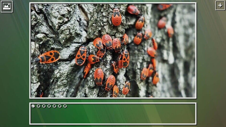 สกรีนช็อตจาก Super Jigsaw Puzzle: Generations - Bugs Puzzles (รูปที่ 7)