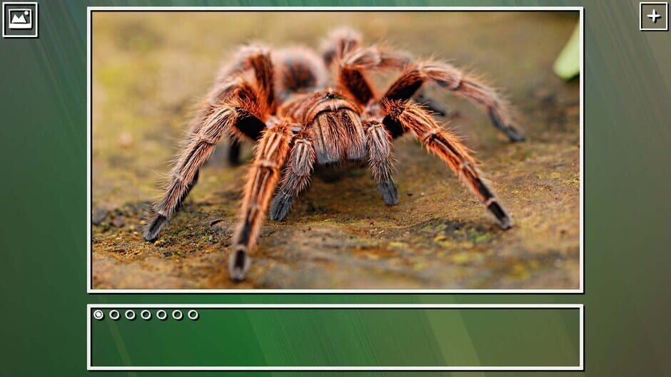สกรีนช็อตจาก Super Jigsaw Puzzle: Generations - Bugs Puzzles (รูปที่ 8)